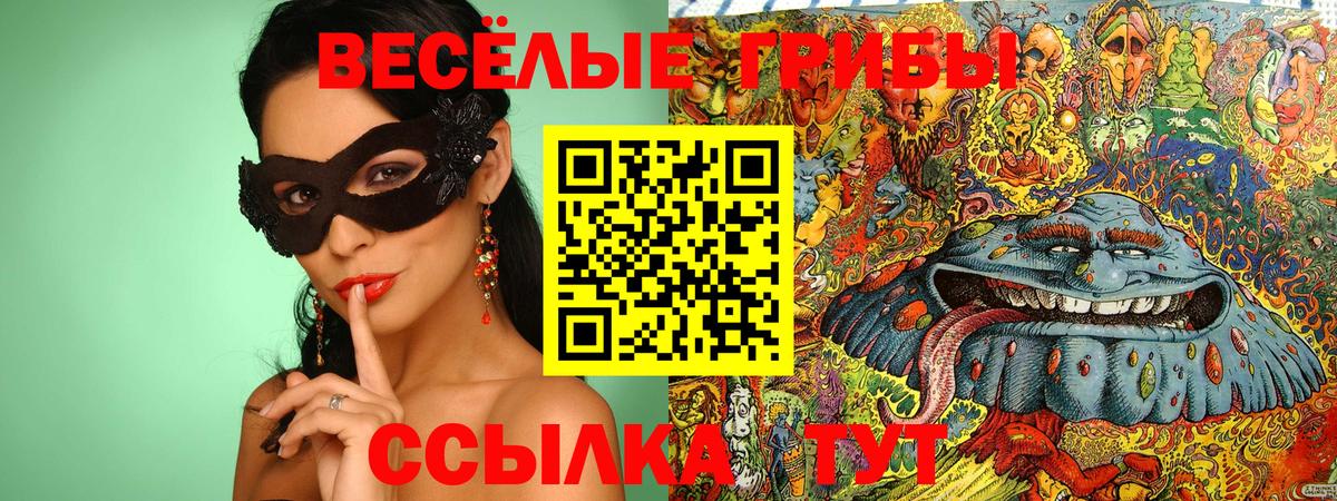 Чехов  Галлюциногенные грибы Psilocybine cubensis  Вход с VPN 
